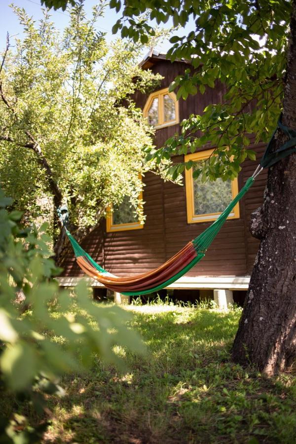 Apartamento Barna Faház Tarnaszentmaria Exterior foto